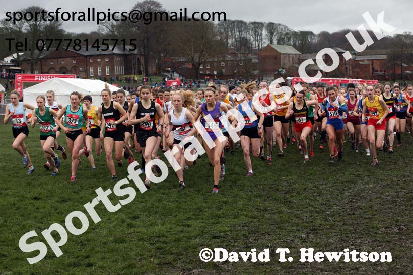 Senior girls 2019 New Balance English Schools Cross Country Champs, Temple Newsam, Leeds. Photo:  David T. Hewitson/Sports for All Pics